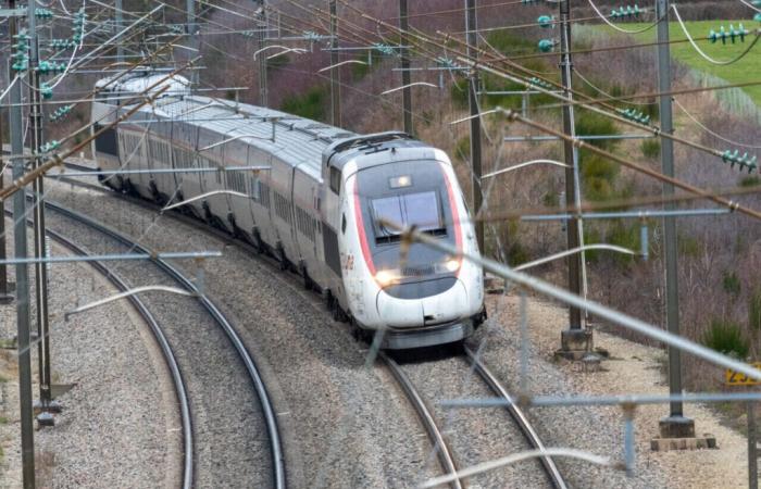 Ein TGV aus dem Südwesten benötigt mehr als 10 Stunden, um am Bahnhof Montparnasse in Paris anzukommen