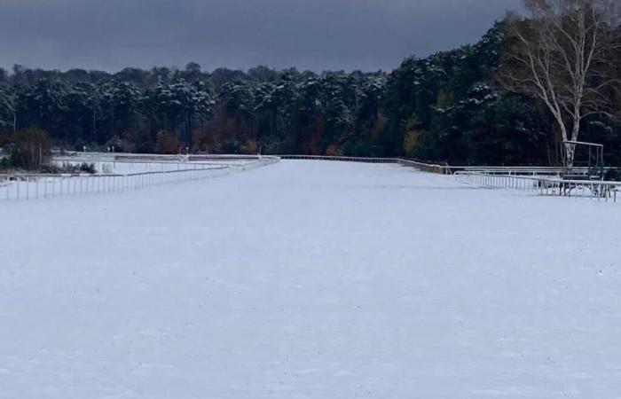 das Treffen vom 23. November von Fontainebleau nach Chantilly