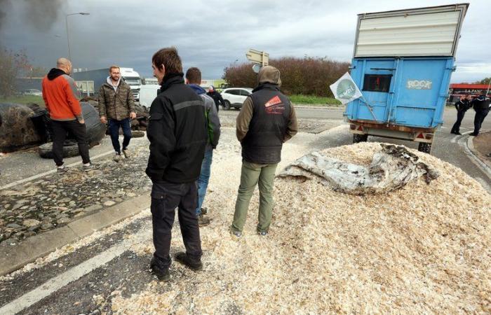 Ärger der Bauern: „Wenn alle Abgaben bezahlt sind, bleiben mir noch 8.000 Euro für das Jahr“, klagt ein junger Bauer aus Tarn-et-Garonne