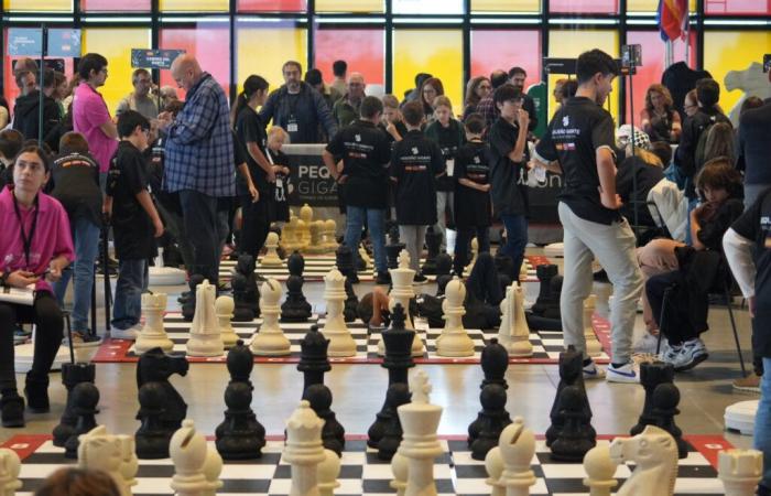 Schulschachmeisterschaft bei EL LLOBREGAT OPEN CHESS: Förderung von Bildung und Nachhaltigkeit