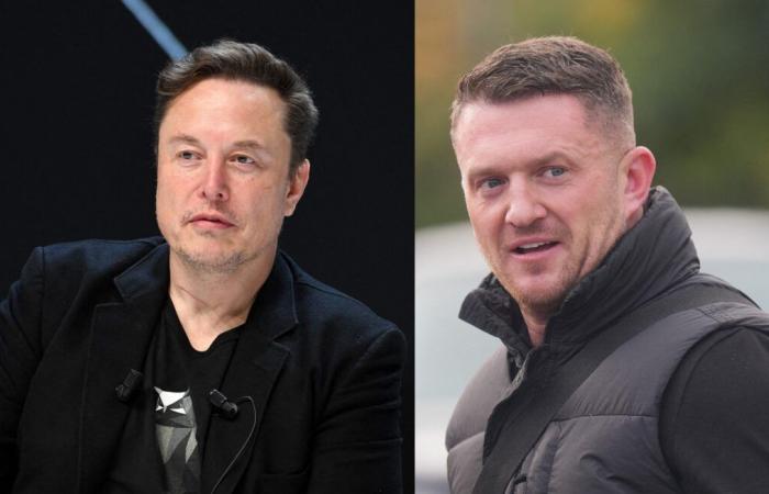 Elon Musk stellt die Gefängnisstrafe von Tommy Robinson in Frage