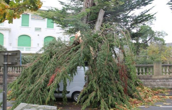 Rund sechzig Haushalte in Côtes-d’Armor haben keinen Strom