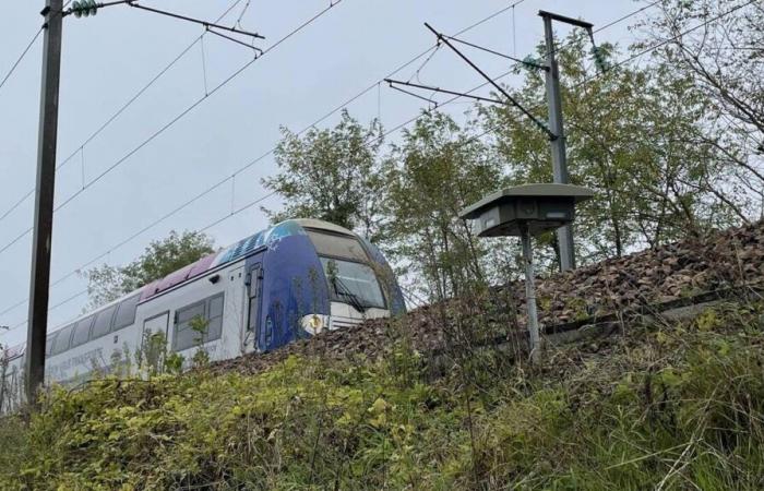 In der Normandie wird der SNCF-Zugverkehr nach dem Sturm Bert wieder aufgenommen