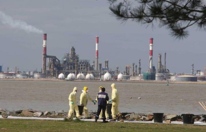 Nach einem Rohölleck in der Loire am Samstagabend wurden staatliche Stellen mobilisiert