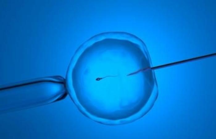 „In 150 Jahren wird sich die Menschheit fast nur noch durch IVF fortpflanzen, das ist sicher.“