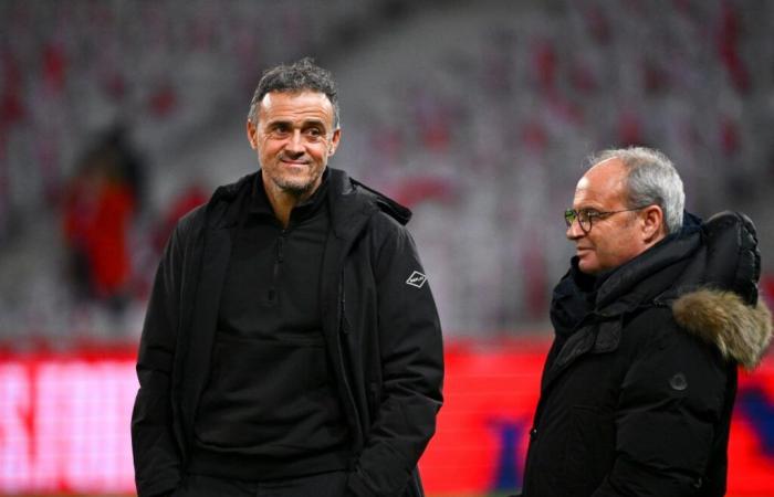 Luis Enrique gibt Luis Campos grünes Licht für einen Transfer!