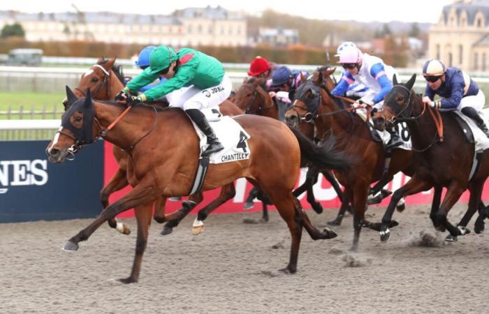 Ashiyma gewinnt den Ceres-Preis in Chantilly