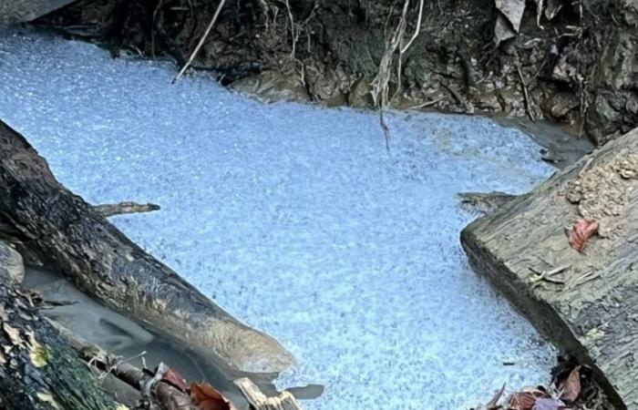 Blaues Wasser, Abfälle aller Art… starke Verschmutzung in Mont-Saint-Martin