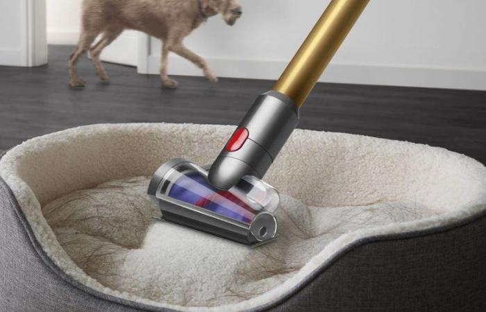 Dieser Dyson V12 Detect Slim Staubsauger profitiert von einem Preis, den niemand erwartet hat