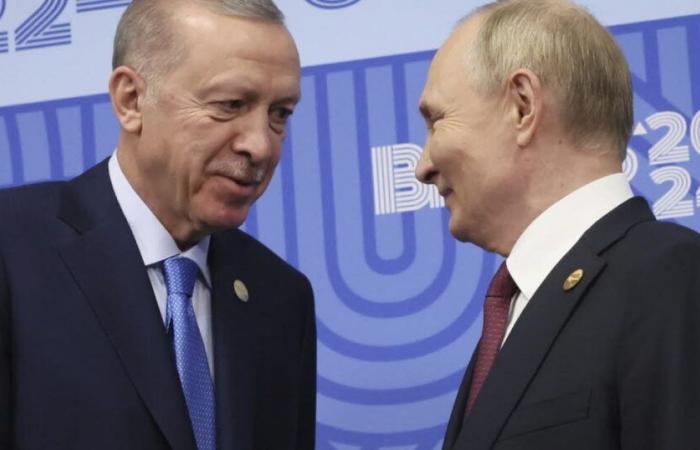 Türkei. Erdogan öffnet Tür für „Ausweitung“ des Handels mit Russland