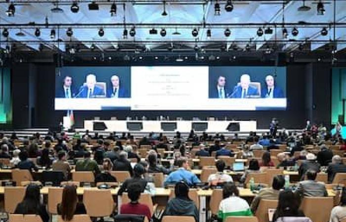 COP29: Welche Zukunft hat der schrittweise Ausstieg aus fossilen Brennstoffen?