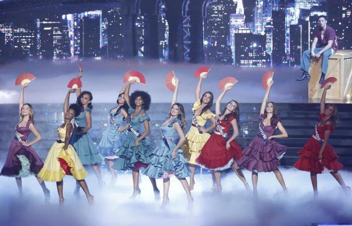 QUIZ. Miss France 2025: Würden Sie das Diktat der Kandidaten fehlerfrei ausführen? Machen Sie den Test!