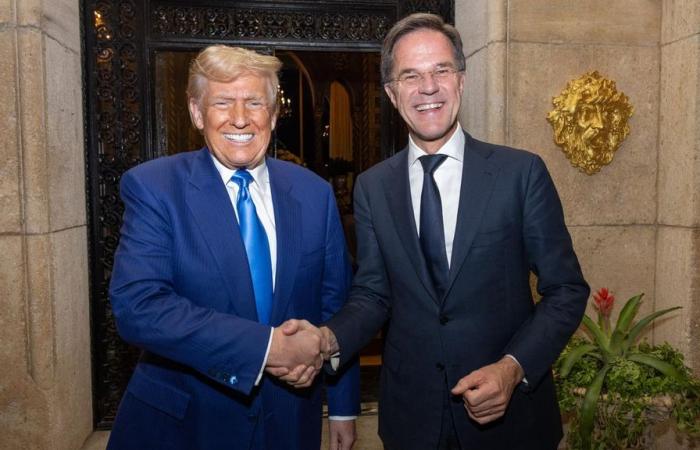 NATO-Chef Rutte und Trump diskutieren über Sicherheitsfragen