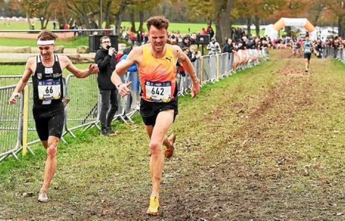 Carhaix Cross: Guillemot Imperial, Bédard im Sprint geschlagen, Bouchard verfehlt das Ziel, die Ergebnisse vom Sonntag