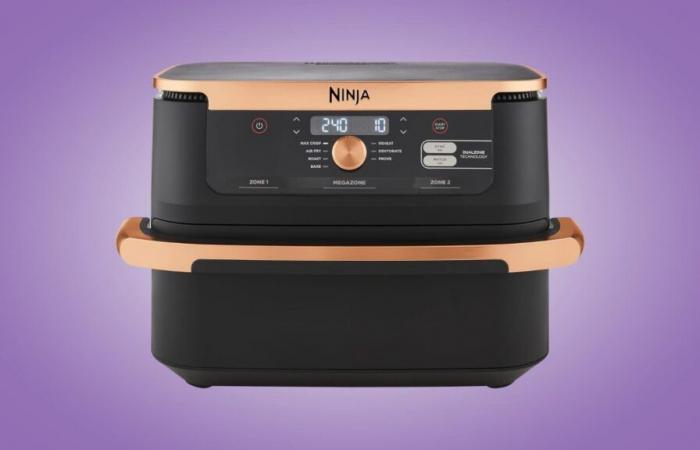 Es ist die beste Zeit, sich diesen Airfryer Ninja zu einem verrückten Preis zu gönnen: Danke, Black Friday