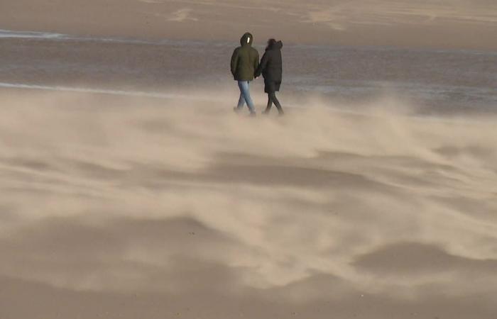 Gelbe Warnung bei Wind in Hauts-de-France mit Böen bis zu 100 km/h an der Küste