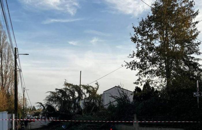 Sturm Bert. Achten Sie auch an diesem Sonntagabend in der Loire-Atlantique auf Windböen