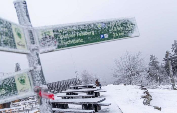 Schnee-Chaos oder Frühlingswetter? Wetterphänomen prägt den Winter in Deutschland