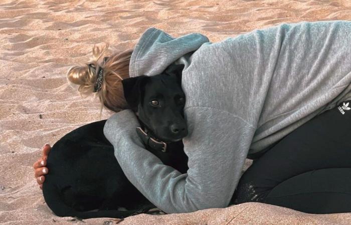 Der Hund, der in Charles de Gaulle aus einem Flugzeug sprang, wurde trotz umfangreicher Suchaktionen immer noch nicht gefunden