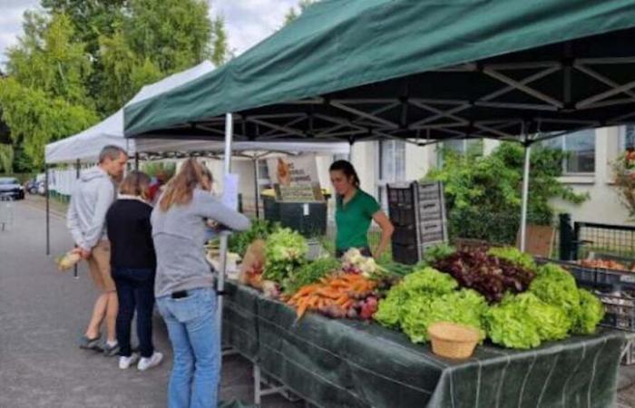 In der Aÿ-Champagne steht beim Festival „Les champs gourmands“ gutes Essen im Mittelpunkt