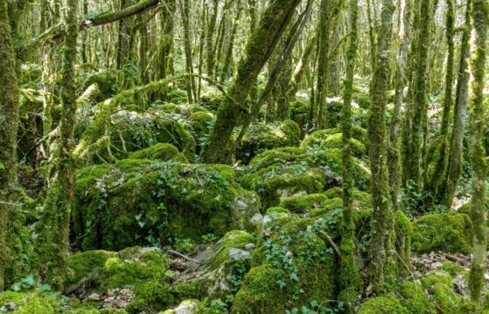 4 ungewöhnliche Wanderungen, die Sie vor dem Ende des Herbstes in der Aude unternehmen können