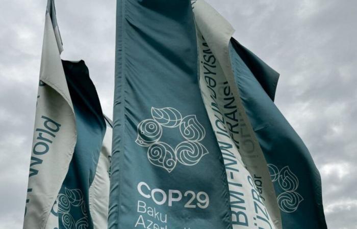 „Diese COP29 war eine echte Verschwendung“, prangert das Climate Action Network an