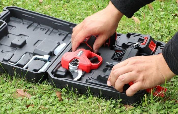 Dieser Elektro-Gartenschere hat aufgrund seines günstigen Preises noch eine glänzende Zukunft vor sich