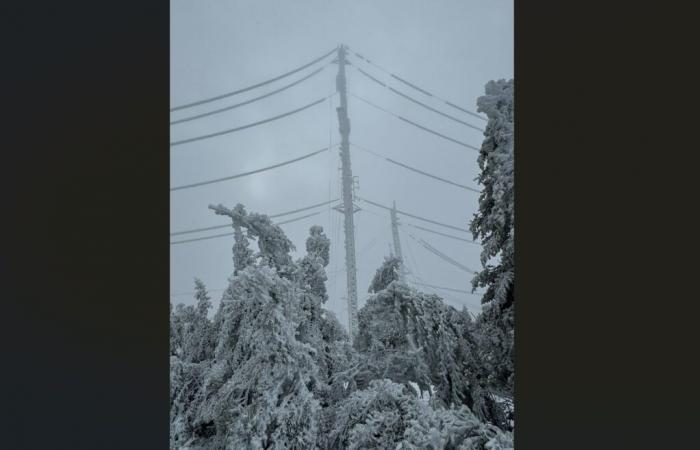 (Aktualisiert um 17 Uhr) Eis verursacht Schäden in der Montagne Noire