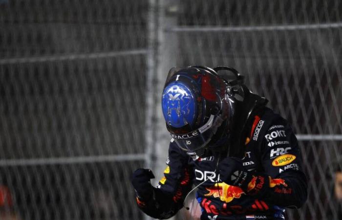 Max Verstappen, ein erleichterter Weltmeister