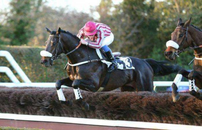 Kostenlose Vorhersage für das ANGLO-ARAB NATIONAL STEEPLE-CHASE