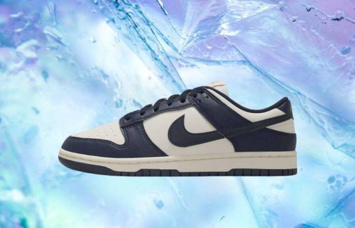 Gönnen Sie sich diesen Sonntag endlich den Nike Dunk Low Next Nature zum Schnäppchenpreis