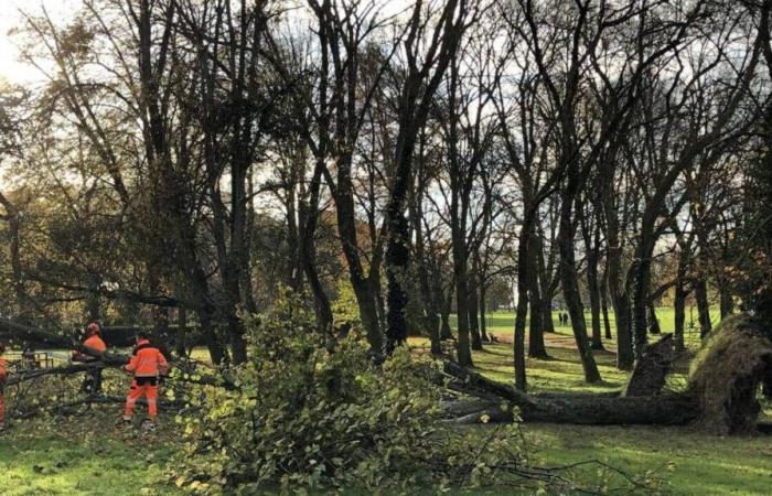 Sturm Bert. Neue gelbe Wachsamkeit für Loire-Atlantique: Was ist zu erwarten?