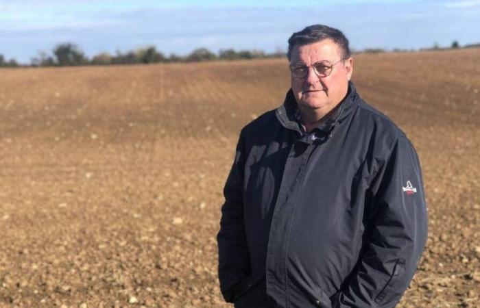 In der Vendée ein Photovoltaik-Schattenprojekt zur Stromerzeugung und Ackerbau