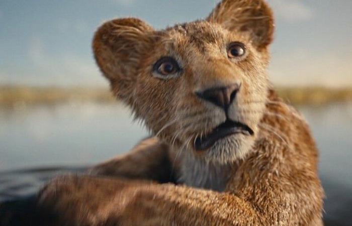 Mufasa Der König der Löwen: Unsere Eindrücke, nachdem wir 30 Minuten des nächsten Disney gesehen haben