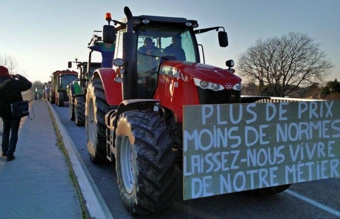 Eine arbeitsreiche Woche voller Mobilisierungen in Toulouse und der Region Okzitanien. Was können wir erwarten?