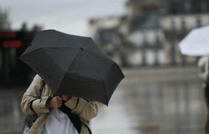 Sturm Bert. Die Loire ist in Alarmstufe Orange wegen heftiger Winde: Hier erfahren Sie, was Sie erwartet