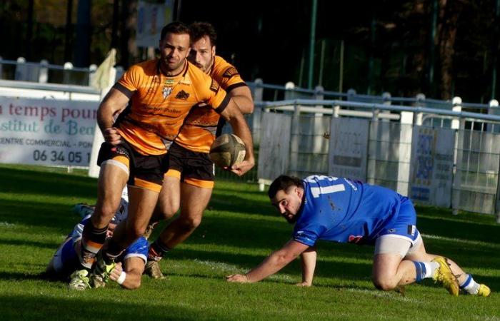 Amateur-Rugby – Federal 3: Pont-du-Casses Post-Contact-Spiel traf gegen Vic-en-Bigorre ins Schwarze