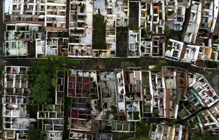 Brasilien | Bus stürzt in Schlucht und tötet 17 Menschen