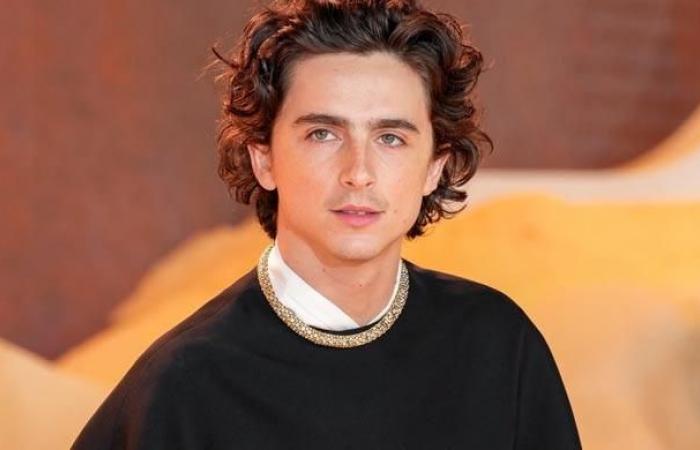 Die überraschende Geste von Timothee Chalamet löst Vorfreude auf neuen Film aus