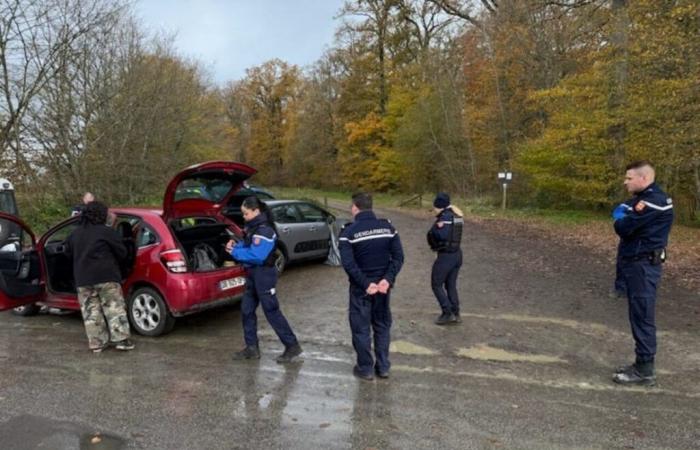 Eine Rave-Party in Orne bringt illegal 200 Menschen im Bourse-Wald zusammen