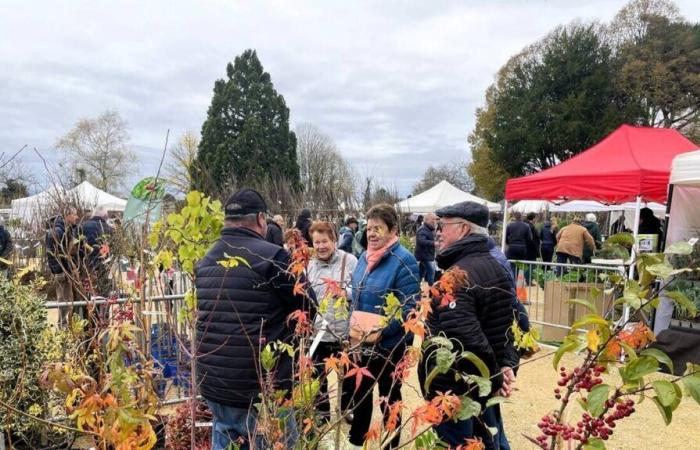 „ein High-End-Pflanzenmarkt“, der in Maine-et-Loire mit Spannung erwartet wird