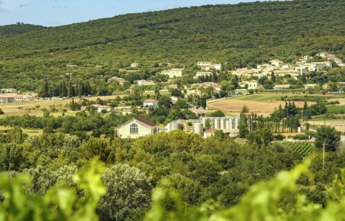 GARD Die Vignerons des Capitelles passen zu Ihren Mahlzeiten zum Jahresende