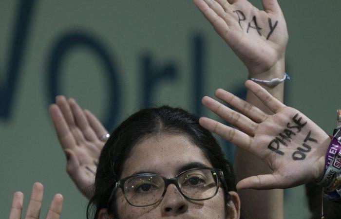 COP 29: 300 Milliarden zur Unterstützung des Klimawandels, eine umstrittene Einigung, die am Ende der Nacht erzielt wurde