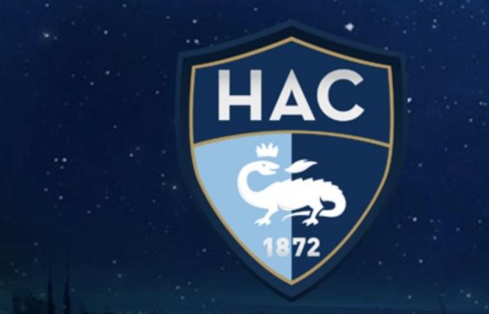 Mercato Havre AC: Nach André Ayew ein weiterer ehemaliger OM im Visier des HAC