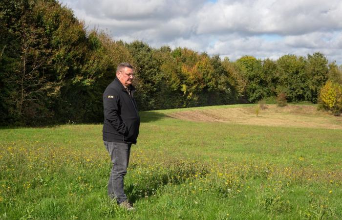 Die Megabecken der Vendée, ein „Modell“ voller Lecks