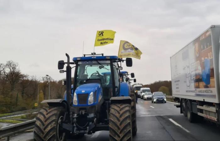 die drei Nachrichten von diesem Montag, 25. November in Indre