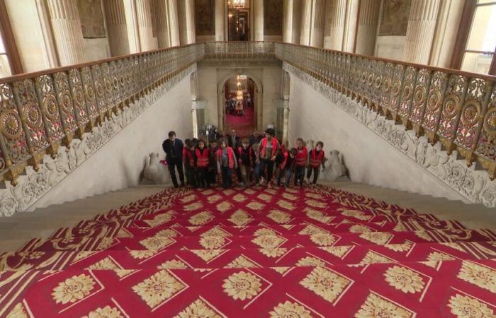 VIDEO – Wenn Politik fasziniert: Der Tag, an dem Studenten im Parlament saßen