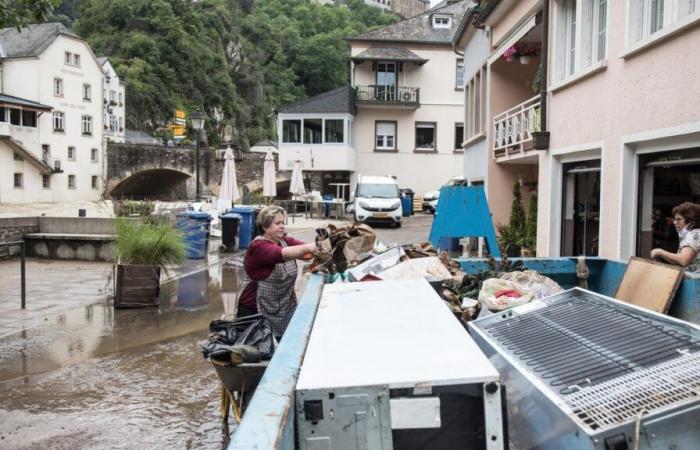 Welche Auswirkungen hat der Klimawandel in Luxemburg?