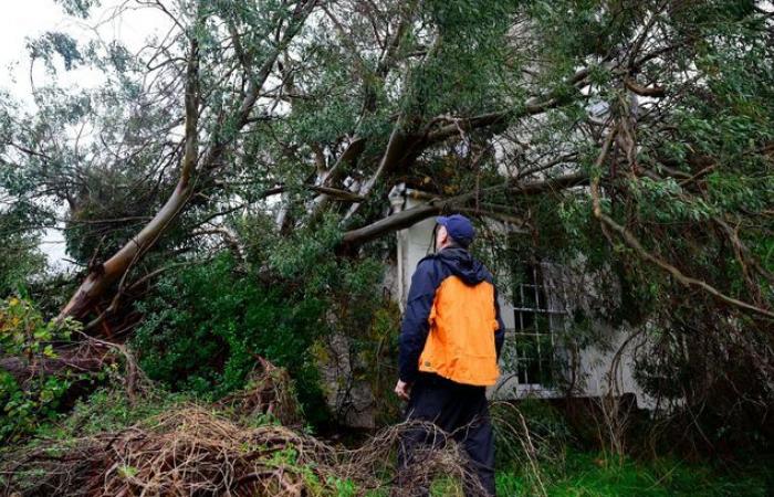 Sturm Bert setzt seinen Schaden fort