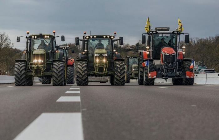 Mobilisierung der Bauern: Konvoi nach Straßburg, Filterdämme, was erwartet uns diese Woche?